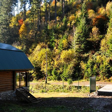 Гостьовий Дім Секвойя Verkhnyaya Bystra Exterior foto