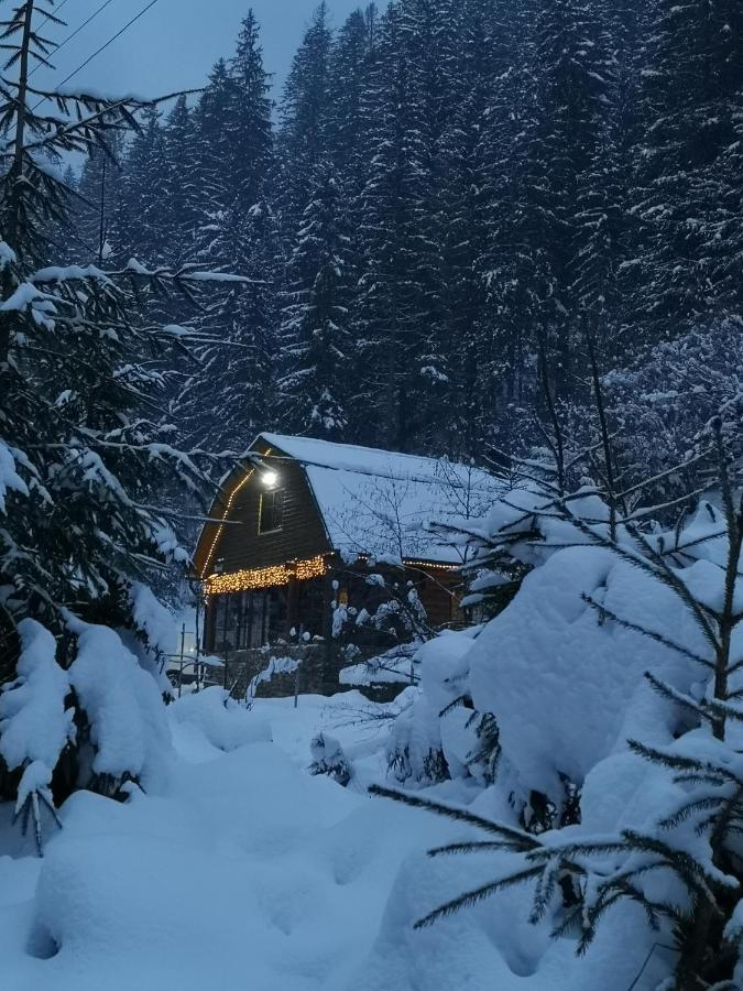 Гостьовий Дім Секвойя Verkhnyaya Bystra Exterior foto